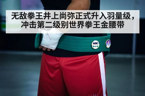无敌拳王井上尚弥正式升入羽量级，冲击第二级别世界拳王金腰带