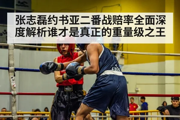 张志磊约书亚二番战赔率全面深度解析谁才是真正的重量级之王